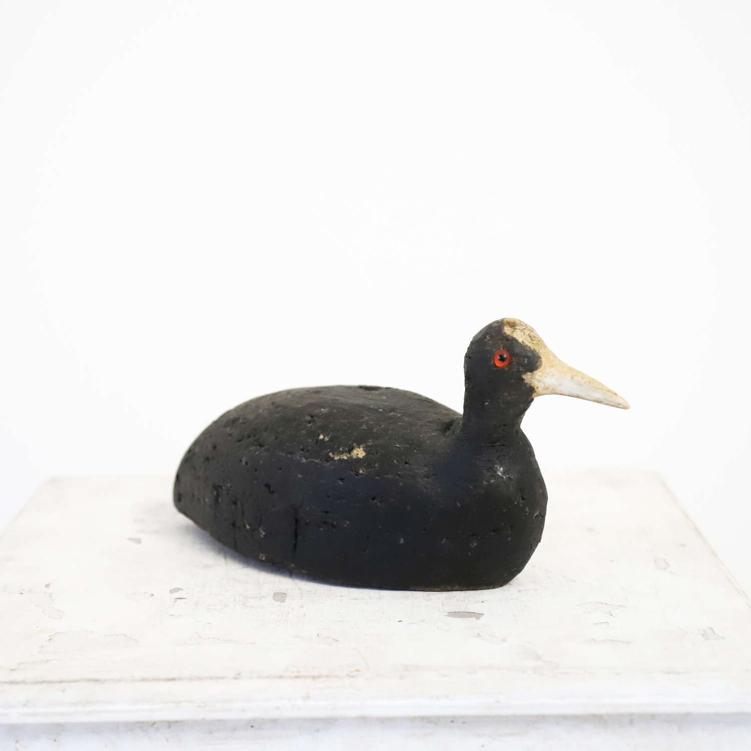 Working Coot Decoy with large beak - French 1940