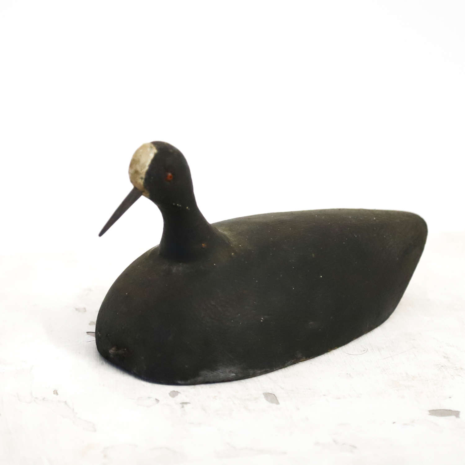 Working Coot Decoy - French Early 20th Century